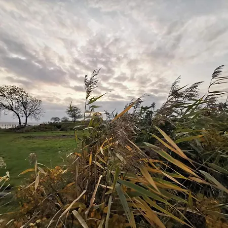 Semesterbostad 6 Person In Ebberup-by Traum *