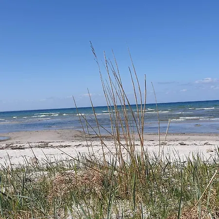 Semesterbostad 6 Person In Ebberup-by Traum Helnæs By